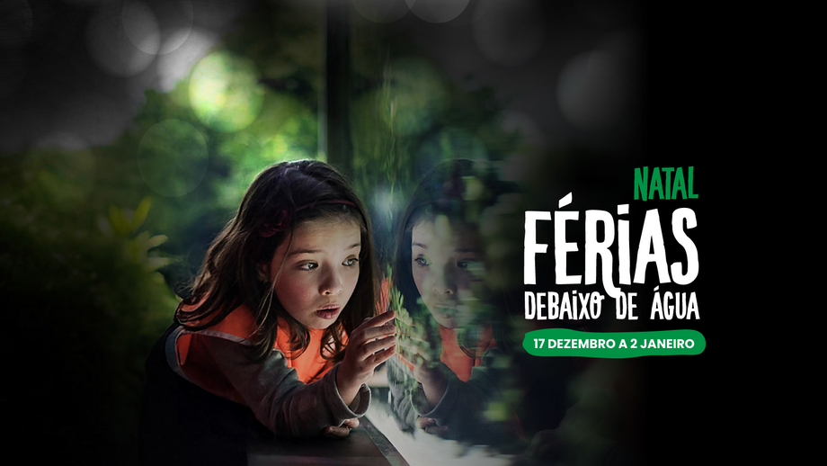 Férias de Natal com vista para o fundo do mar. O Oceanário de Lisboa volta a abrir portas aos mais novos