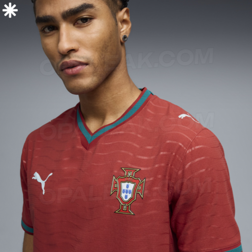 Será esta a nova camisola da Seleção?