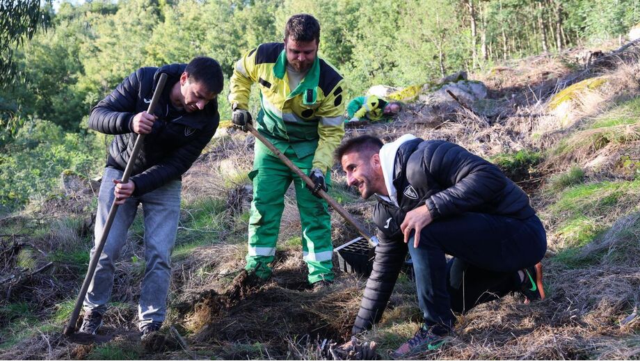 Iniciativa de reflorestação