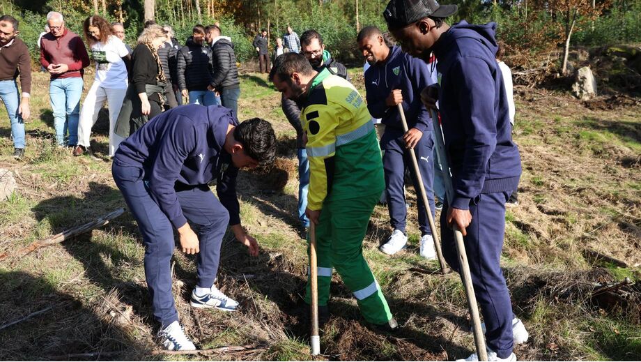 Iniciativa de reflorestação
