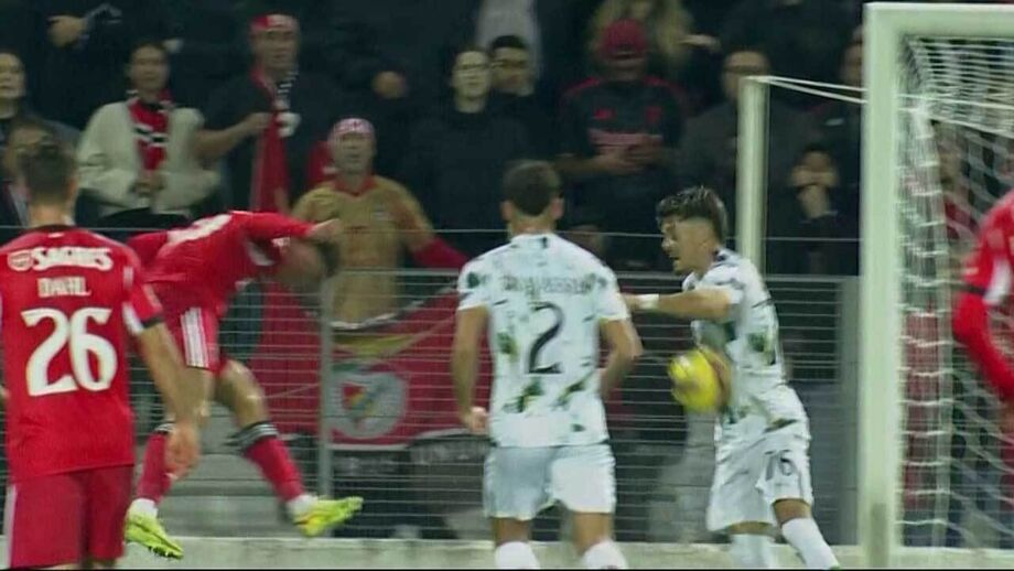 O lance em que o Benfica pediu penálti de Dinis Pinto