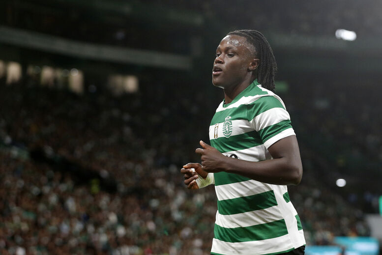 Quenda tem prazo de paragem previsto pelo menos até final de fevereiro