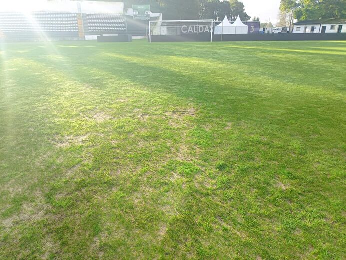 Relvado do Campo da Mata na manhã do Caldas-Sp. Braga