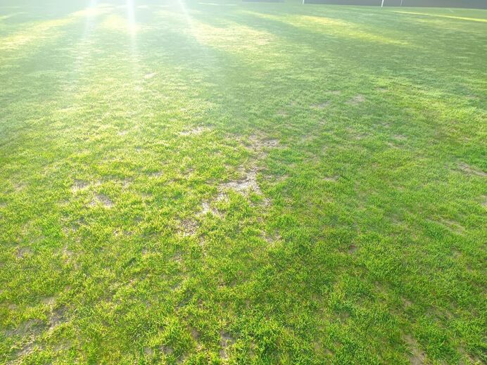 Relvado do Campo da Mata na manhã do Caldas-Sp. Braga