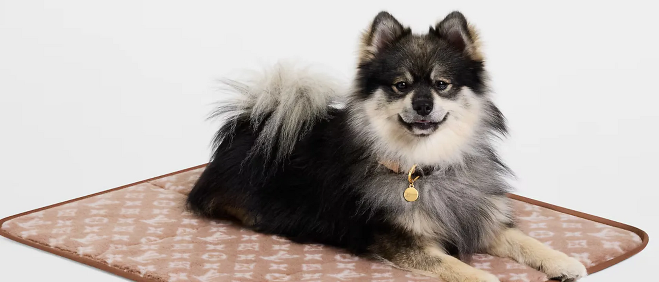 Louis Vuitton lança Dog Collection 2026 e reforça aposta na moda canina