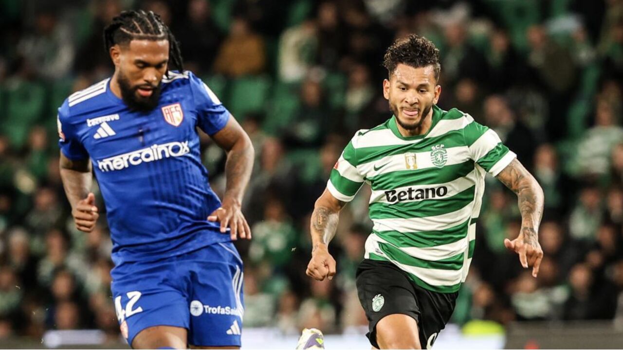 Jogo entre Sporting e AVS SAD