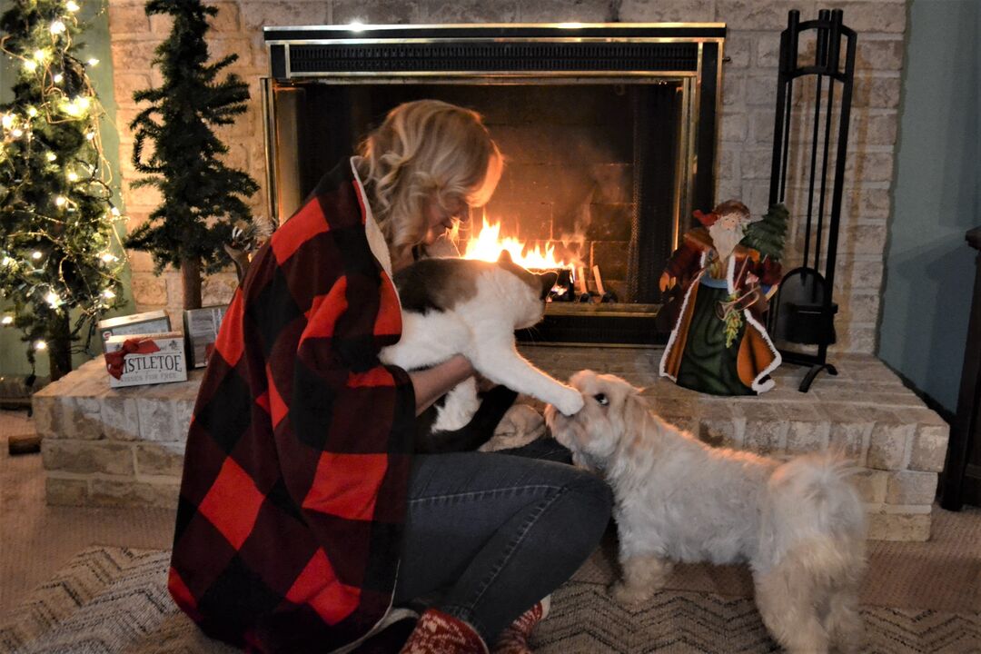 Mantas elétricas, lareiras e patudos. O que deve fazer para evitar sustos no inverno?