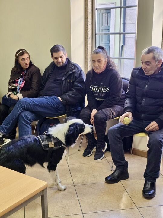 Cáritas de Braga lança projeto-piloto com cães para apoiar vítimas de violência doméstica