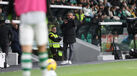 Rui Borges reage no banco de suplentes do Sporting durante o jogo com o Casa Pia
