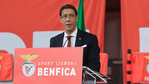 Rui Costa: «Benfica District não irá comprometer a capacidade de investimento nas nossas equipas»