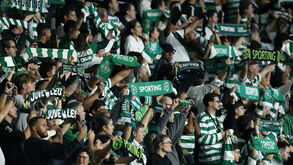 Onda Verde não desarma e vai até Leiria: esgotados bilhetes para o Sporting-V. Guimarães da Allianz Cup