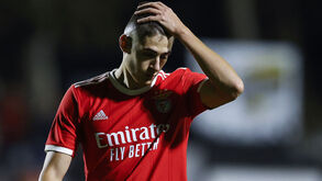 Benfica esclarece lesão de António Silva
