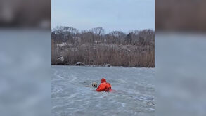 Bombeiro atravessa lago gelado para salvar cão 