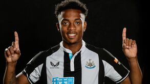 Newcastle apoia Willock após insultos racistas nas redes sociais