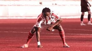 Faye prepara-se para trocar o vermelho e branco... pelo verde e branco