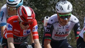 João Almeida vai reencontrar Vingegaard no Giro