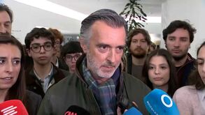 «É absolutamente falso»: Cotrim de Figueiredo nega acusações de assédio contra ex-assessora da IL 