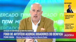Pedro Sousa: «Fogo de artifício? Estão entretidos a falar dos árbitros mas também deviam regulamentar este tipo de coisas»