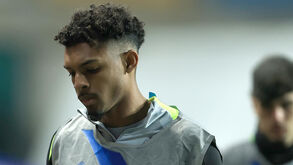 Luís Guilherme vai estrear-se no onze do Sporting frente ao Casa Pia