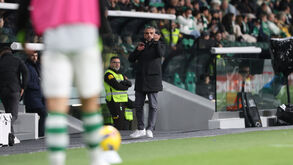 Rui Borges reage no banco de suplentes do Sporting durante o jogo com o Casa Pia