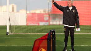 O onze provável do Benfica para o jogo com o Rio Ave