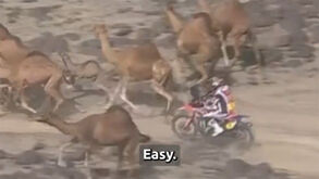 Ricky Brabec perdeu o Dakar por 2 segundos: a culpa foi... dos camelos