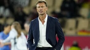 Hervé Renard 