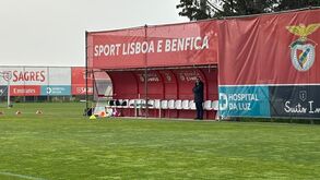 Mário Branco no treino do Benfica