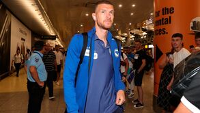 Edin Dzeko troca Fiorentina por Schalke 04