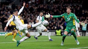 Jogo da Liga dos Campeões entre Tottenham e Borussia Dortmund