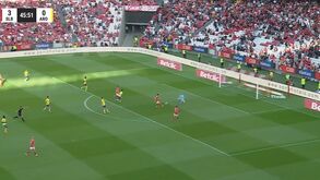 É isto que os adeptos do Benfica esperam de Rafa: último golo do avançado na Luz levantou as bancadas