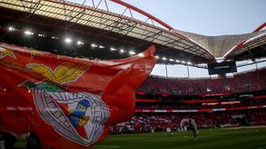 Estádio da Luz