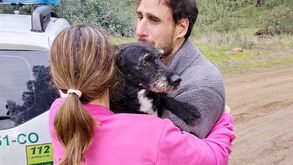 Final feliz em Adamuz: cão desaparecido após colisão de comboios é encontrado com vida