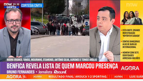 «Rui Costa delegou injustamente em Mário Branco a receção dos ultras. É surreal que não tenha ido ao Seixal dar a cara»