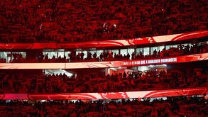 Contrato televisivo entre o Benfica e a NOS para as próximas duas épocas desportivas