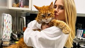 Quase do tamanho da dona! Gato gigante de Carolina Dieckmmann enlouquece os fãs