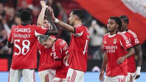 Benfica celebra goleada ao E. Amadora (4-0)