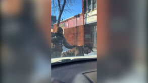 O confronto com Alex Pretti, os disparos e o choque após a morte do enfermeiro às mãos do ICE