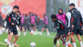 Cinco 'miúdos' às ordens de Mourinho no último treino do Benfica antes da receção ao Real Madrid