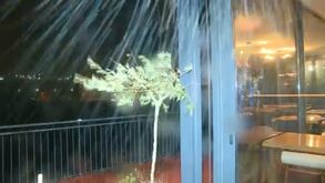 Vento forte em Coimbra 'impossibilita' equipa da CMTV de fazer reportagem no exterior