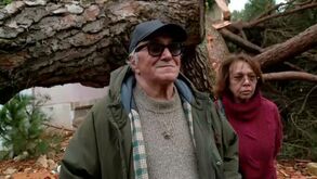 «Árvore caiu a cinco metros da cama da minha filha»: Palacete de José Cid muito danificado devido ao mau tempo