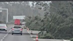 Árvores na estrada e vias cortadas: o cenário encontrado pela comitiva do Lus. Lourosa na zona de Leiria 