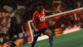 Félix Correia é opção no Lille para o duelo com o Friburgo