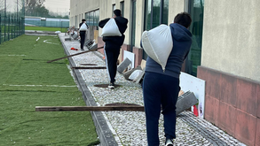 Adeptos da Académica ajudam o clube
