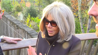 Dez pessoas condenadas por cyberbullying contra Brigitte Macron. O que está em causa?