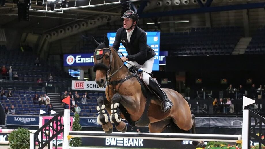 Rodrigo Giesteira de Almeida, cavaleiro português radicado na Holanda