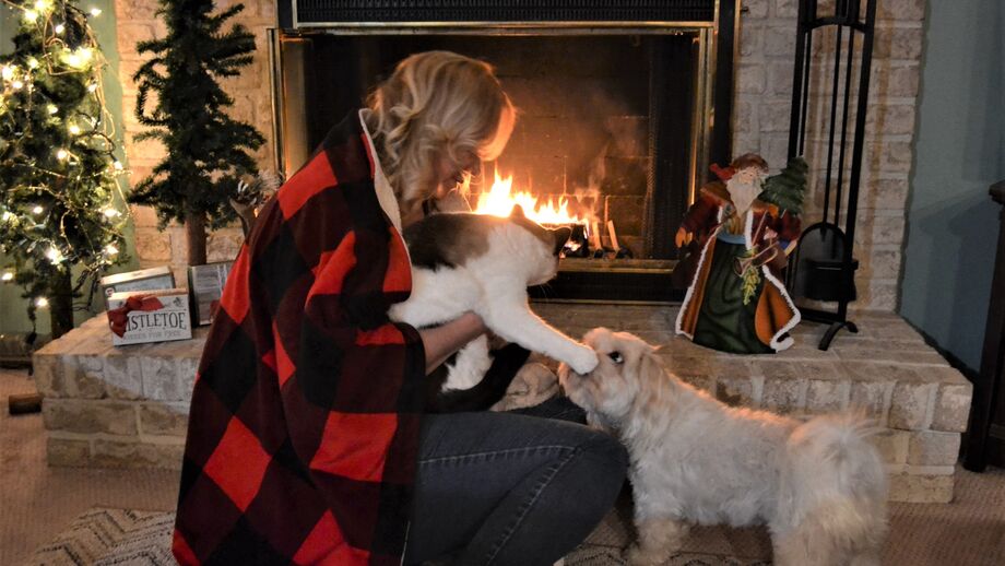 Mantas elétricas, lareiras e patudos. O que deve fazer para evitar sustos no inverno?