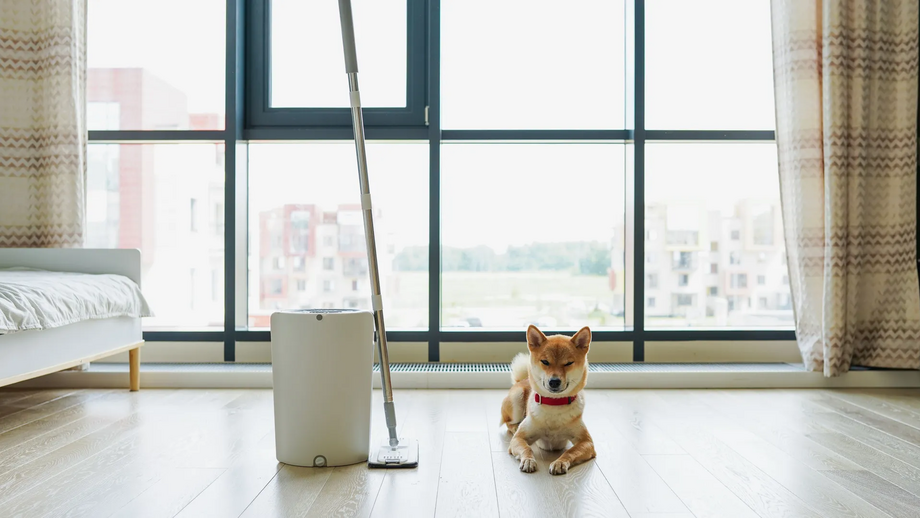 O modo como usa os produtos de limpeza pode ter um impacto direto na saúde do seu animal de estimação