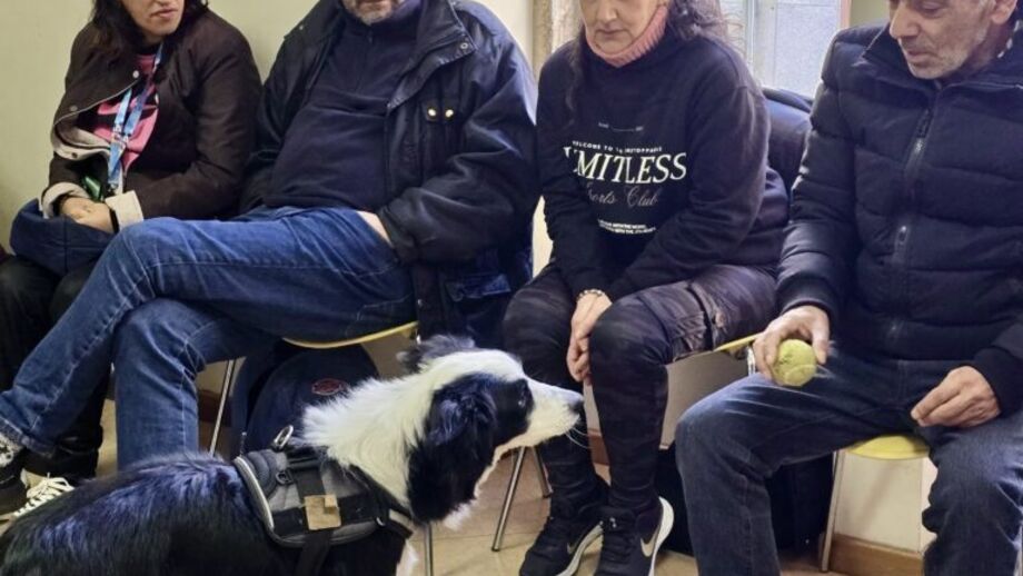 Cáritas de Braga lança projeto-piloto com cães para apoiar vítimas de violência doméstica