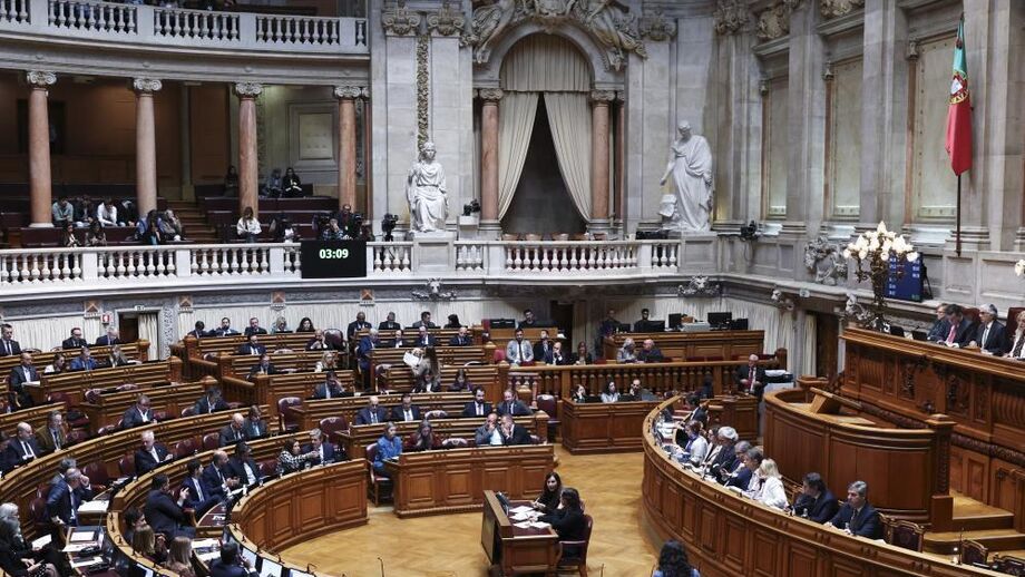 Orçamento do Estado, Parlamento 